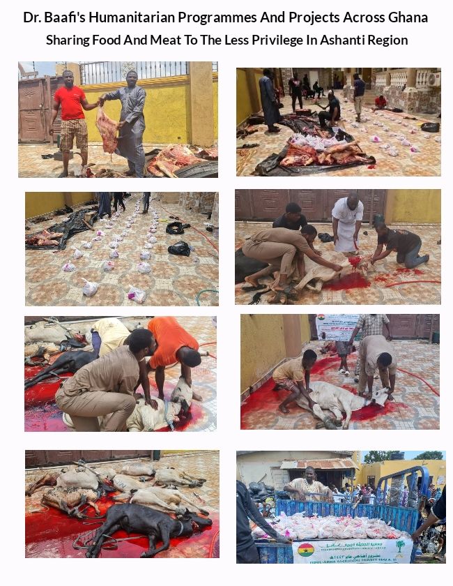 Humanitarian project